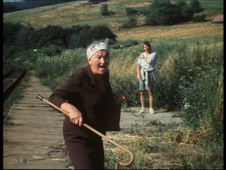 Kadr z filmu "Slunce, seno, jahody"